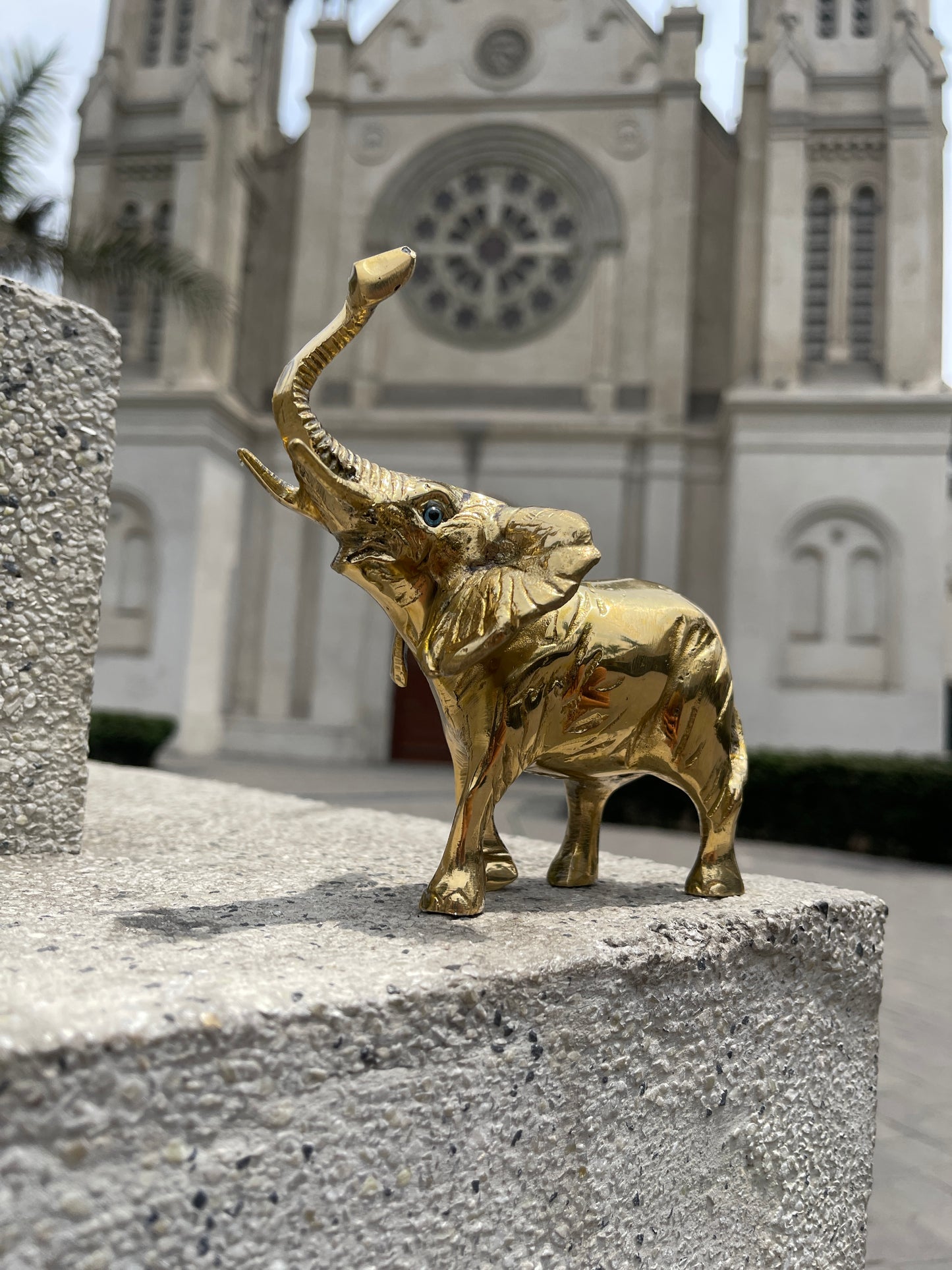 Elephant Quiet Strength