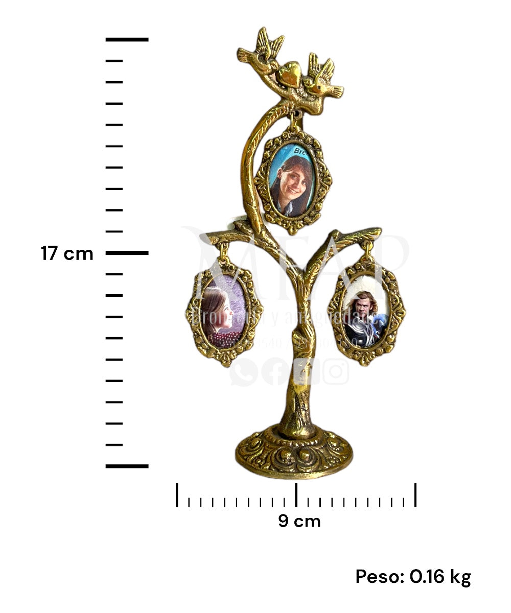 Árbol genealogico de 3 fotos en bronce fundido 17 cm - Linaje dorado