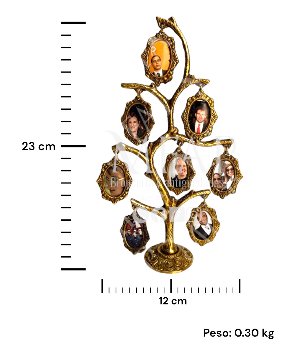 Árbol genealogico de 8 fotos en bronce fundido 23 cm - Eterna genealogia