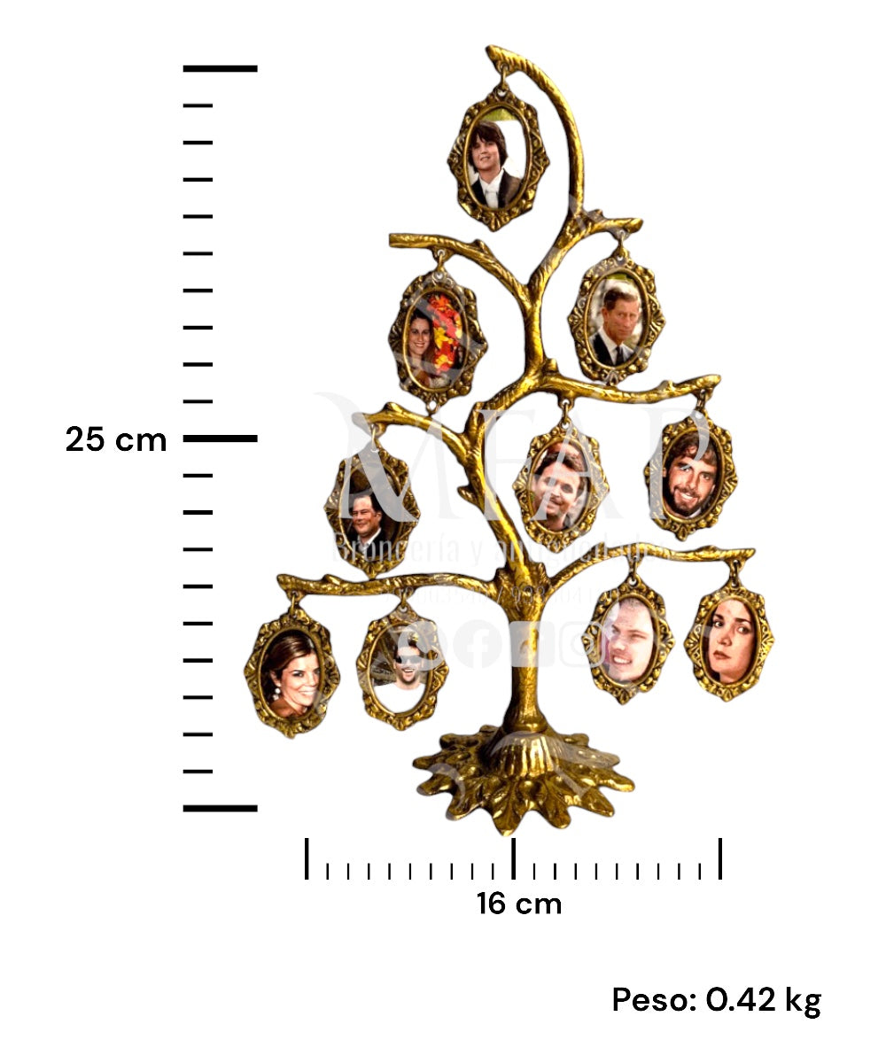 Árbol genealogico de 10 fotos en bronce fundido 25 cm - Ramos del pasado