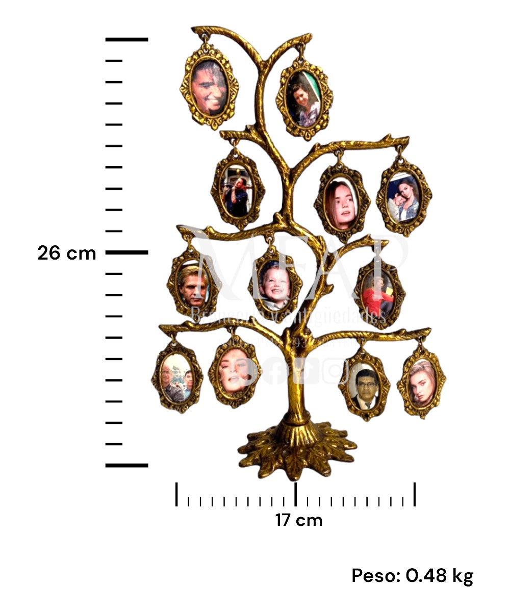 Árbol genealogico de 12 fotos en bronce fundido 26 cm - Árbol conocimiento