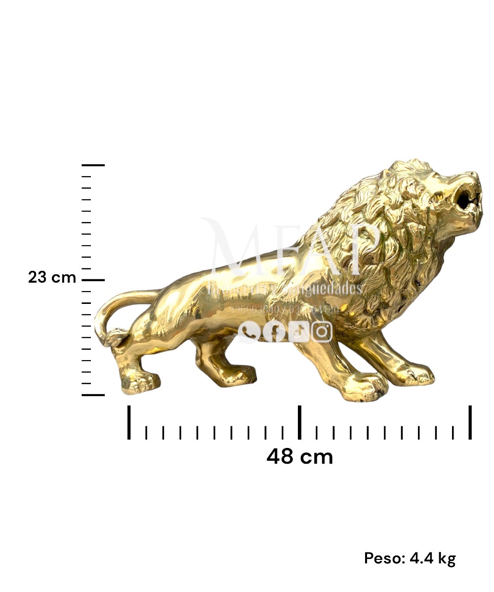 León de bronce fundido 23 cm - Majestad dorada