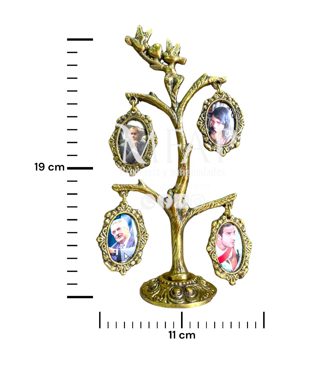 Árbol genealogico de 4 fotos en bronce fundido 19 cm - Árbol ancestral