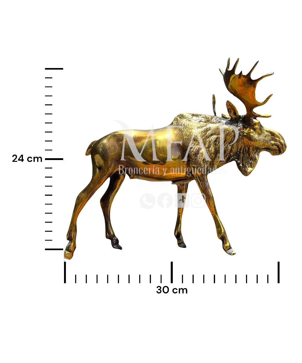 Alce de bronce fundido 24 cm - Majestad del norte