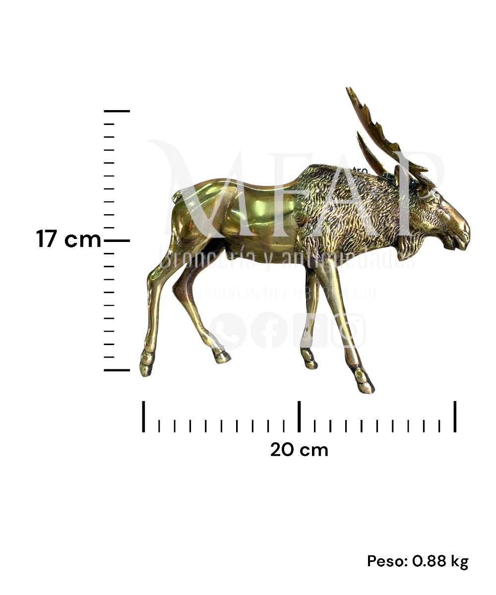 Alce de bronce fundido 17 cm - Guardia de los páramos