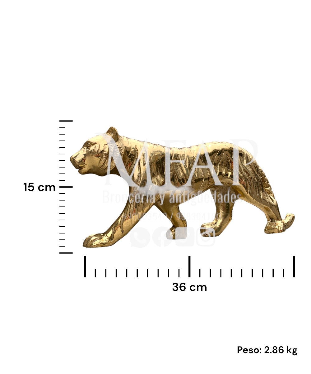Tigre de bengala en bronce fundido 15cm - Elegancia salvaje