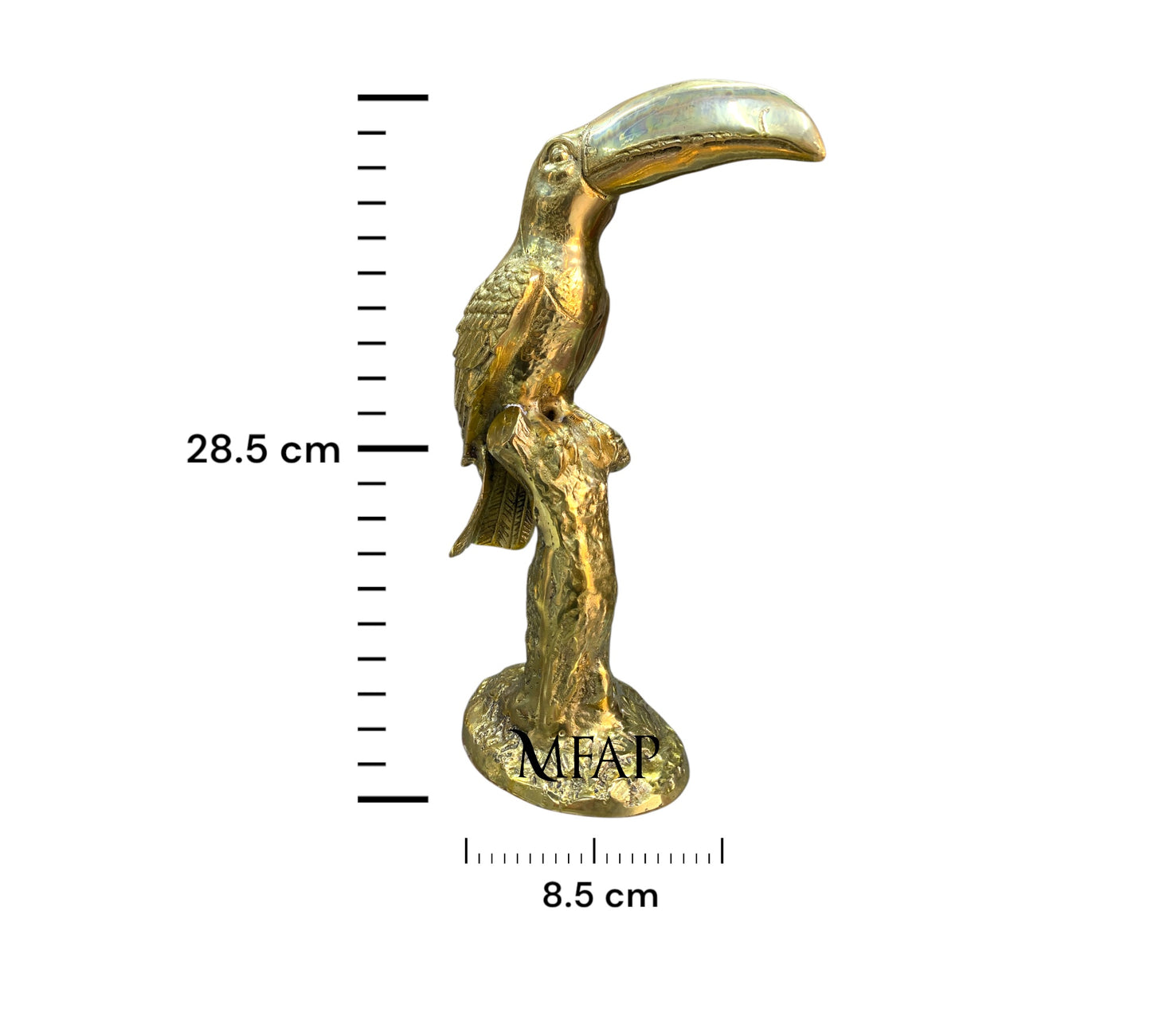 Tucan en rama en bronce fundido 28.5 cm