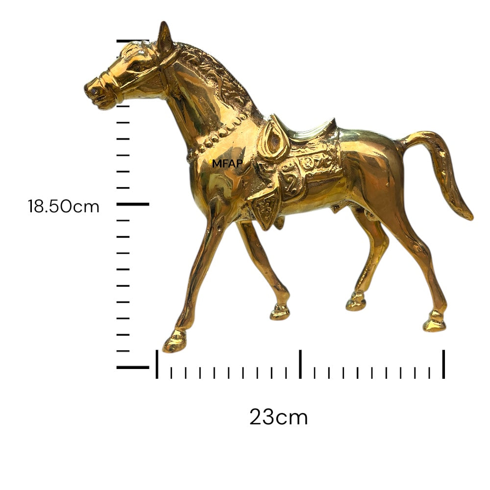 Caballo elegante
