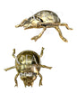 Cenicero en forma de mariquita en bronce fundido 10 cm - Refugio de humo
