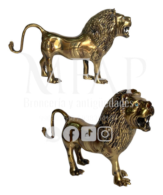 Rugido eterno - león de bronce 17 cm