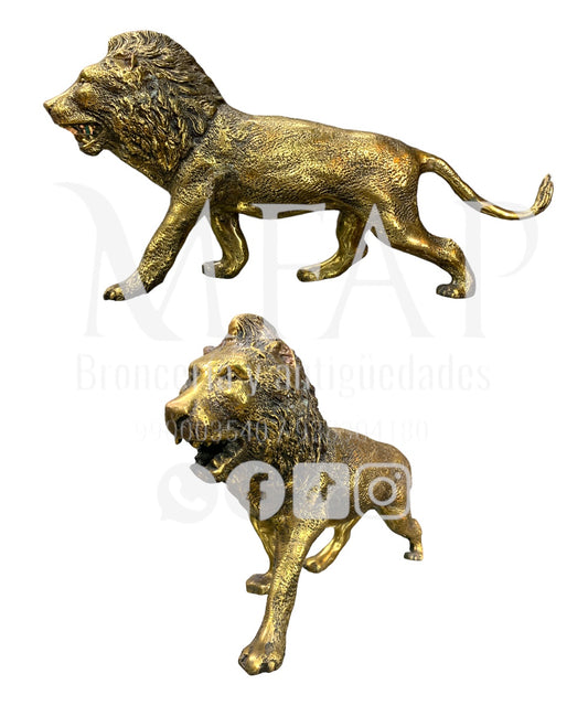 Soberano - león de bronce 23 cm