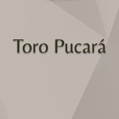 Toro de bronce fundido 10 cm - Pucará