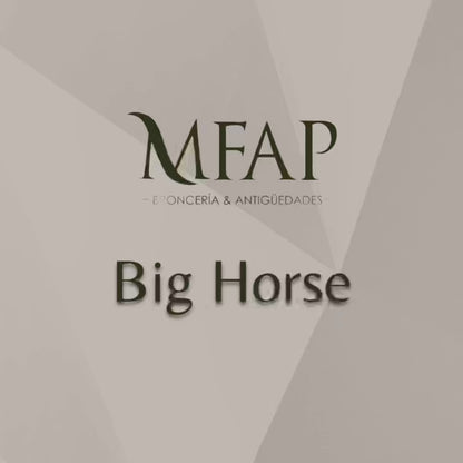 Caballo de bronce fundido 27.5 cm - Elegancia salvaje